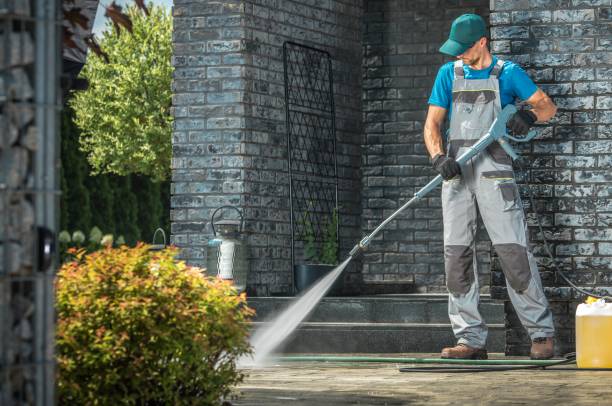 Best Spring Cleaning  in Fredonia, NY